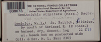 Image Associated With the Occurence